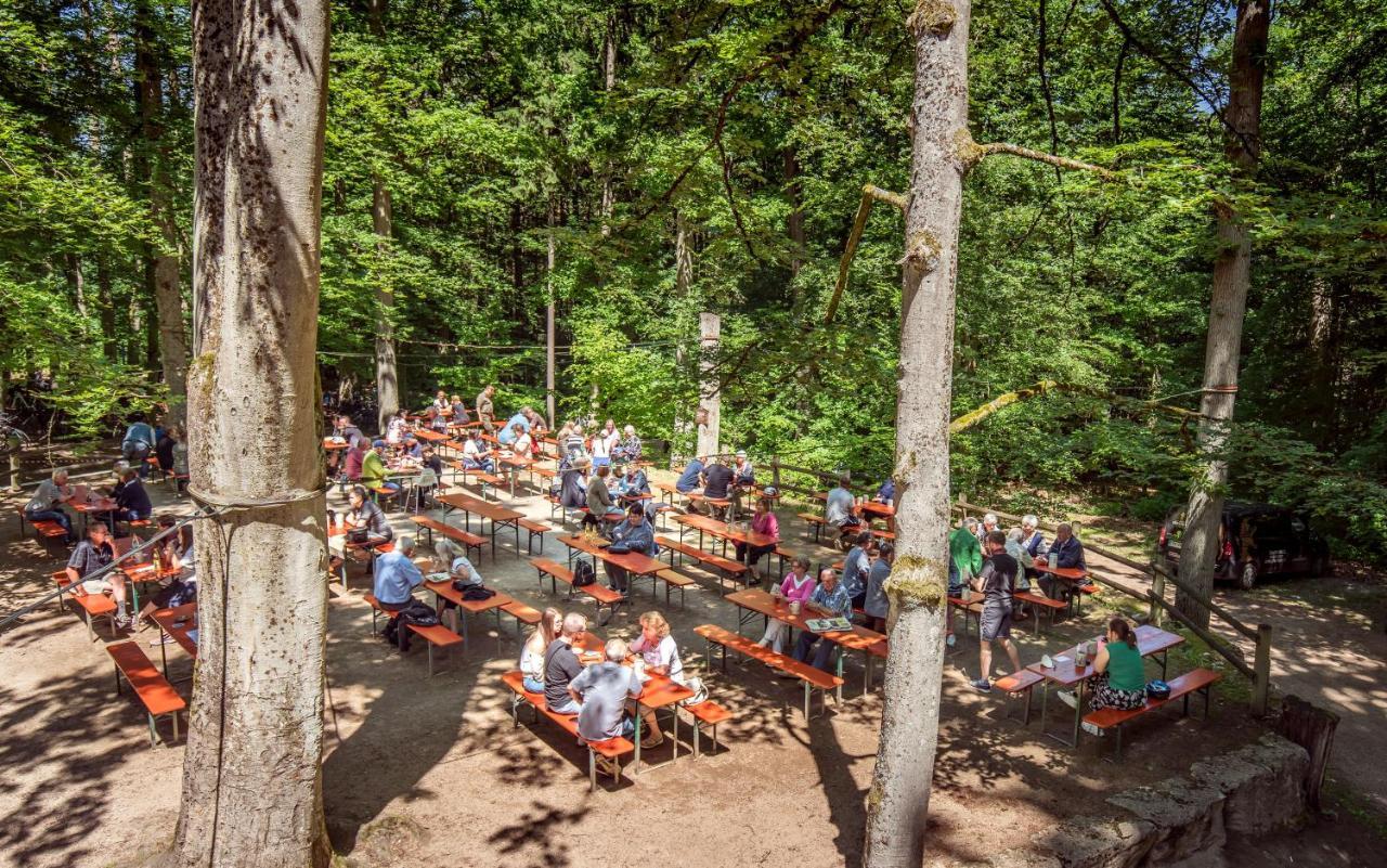 Brauereigasthof Zum Loewenbraeu Adelsdorf Buitenkant foto