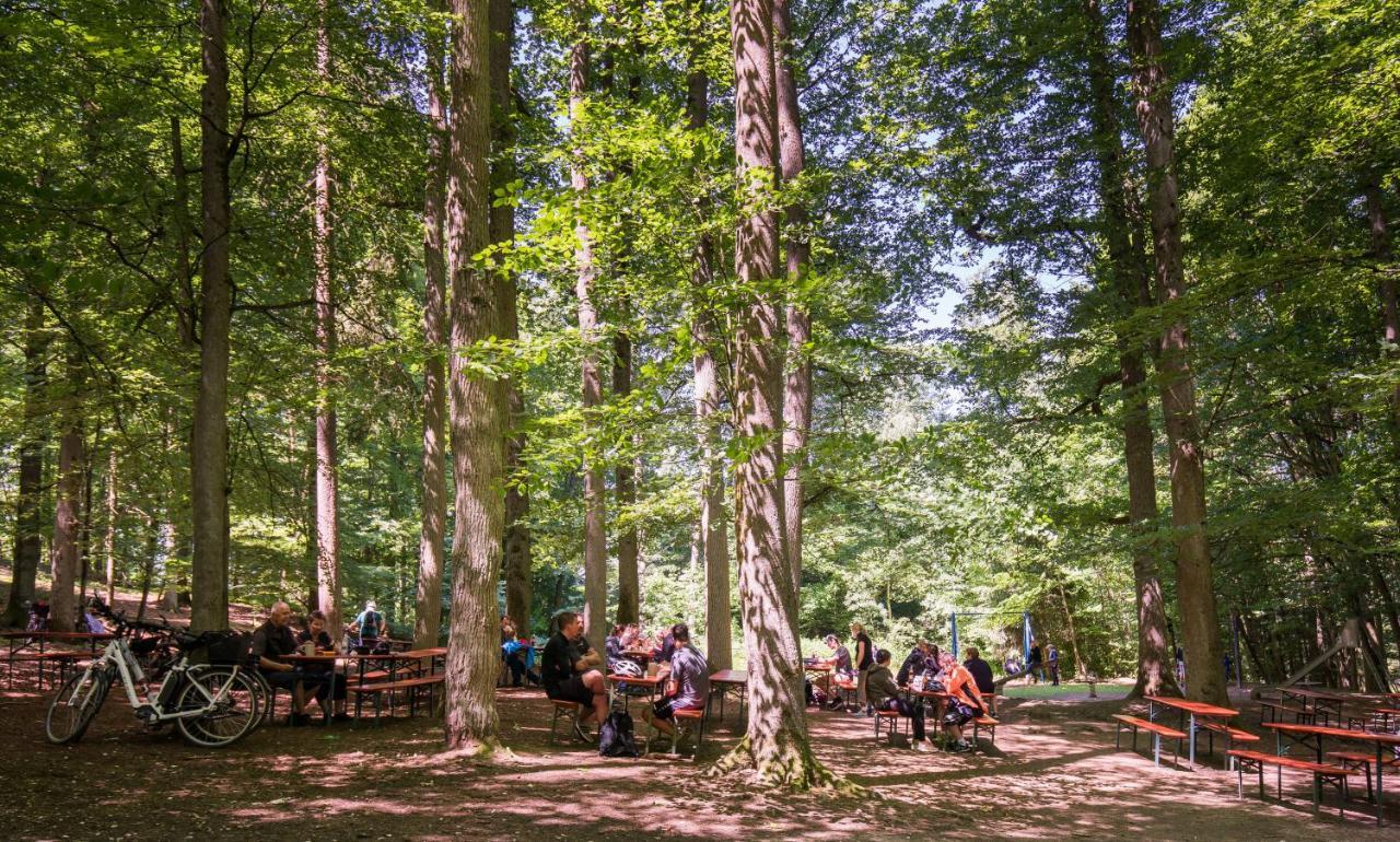 Brauereigasthof Zum Loewenbraeu Adelsdorf Buitenkant foto